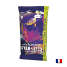 Booster Collector Aux portes des Éternités - Magic the Gathering FR | OnlyFoils.fr